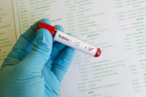 Dog Bite Injuries Can Have Many Potential Consequences – Including Rabies