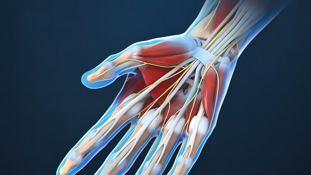 have-you-suffered-nerve-damage-in-your-hand-get-answers-to-common